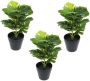 Merkloos Greendream Set Van 3 Mini Monstera Gatenplant Kunstplanten 30 Cm - Thumbnail 2