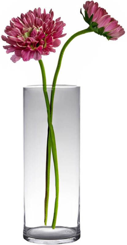 Hakbijl Glass bloemenvaas Transparant glas D19 x H60 cm Cilinder vormig Vazen