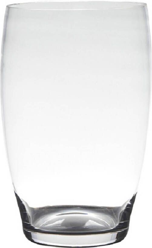 Hakbijl Glass Transparante home-basics vaas vazen van glas 20 x 15 cm Naomi Vazen