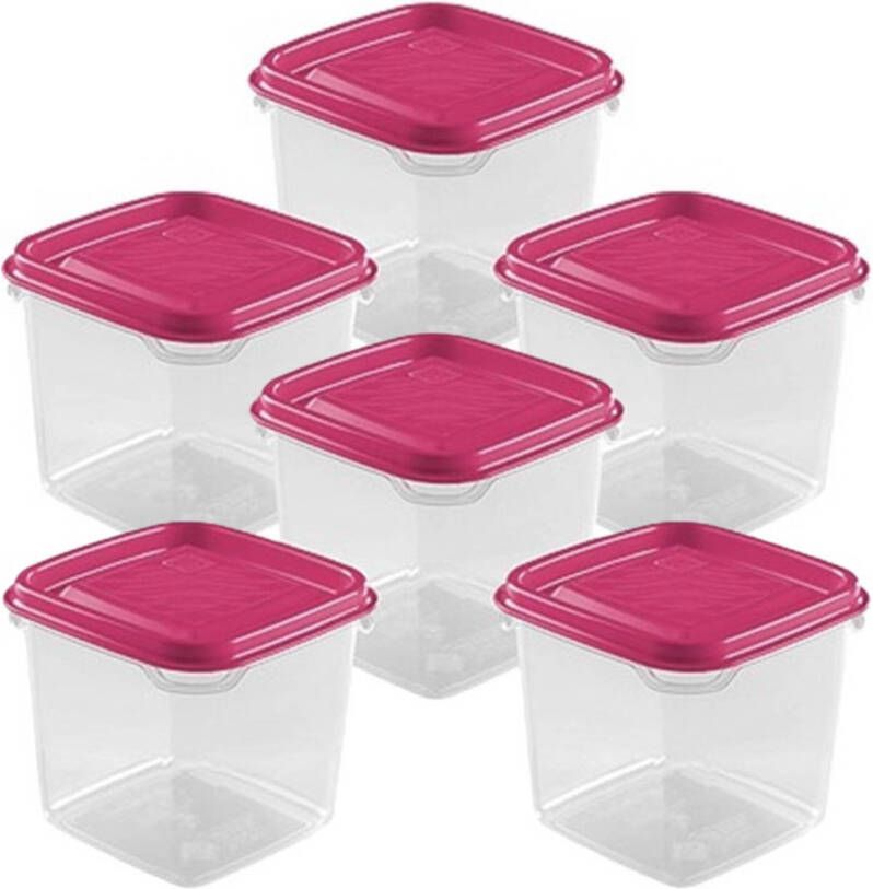 Hega hogar Vershoudbakjes set 6x stuks 0.3 liter transparant roze L8 x B8 x H11 cm Mealprep Maaltijden bewaren