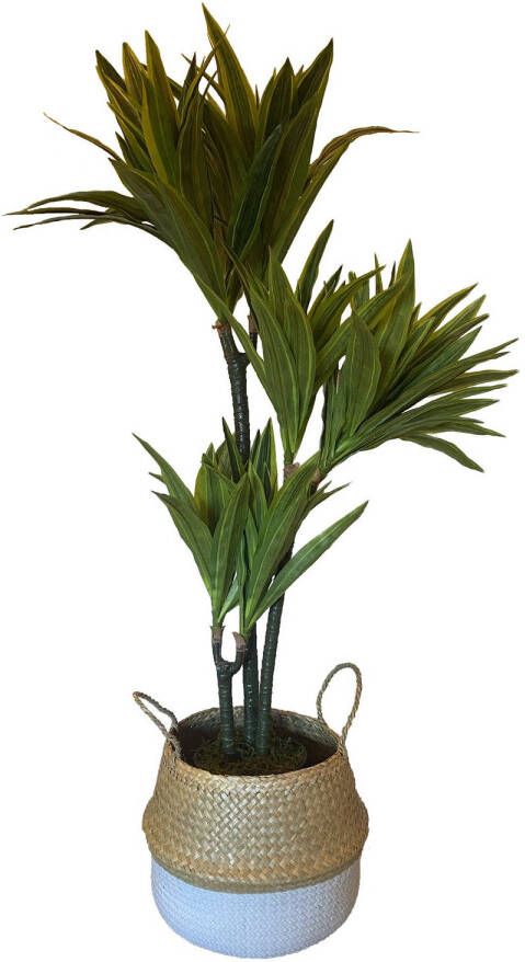 HEM Levensechte Kunst Dracaena Lemon Lime 120 cm met pot- Kunst dracena Kunstplanten