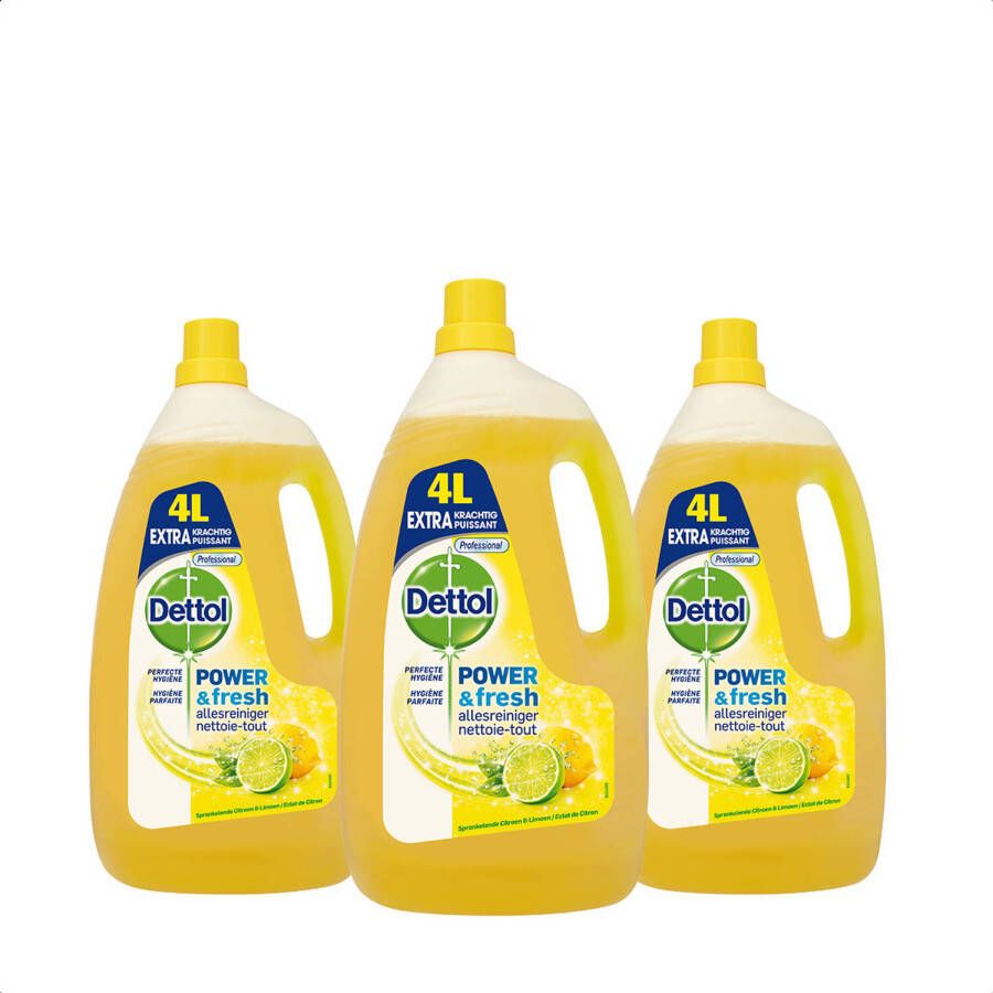 Hermie Dettol Allesreiniger Citrus 4L x3