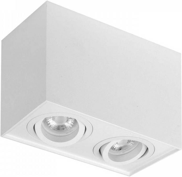 Highlight plafondlamp Maxi Rebel 2 lichts stelbaar rechthoek wit