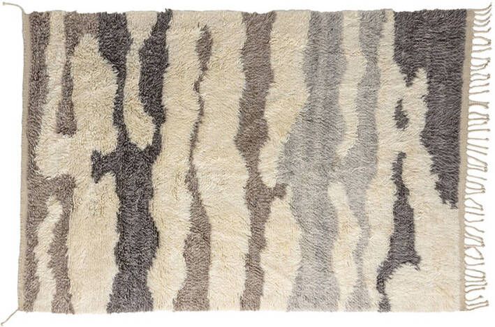 Hioshop Charlie vloerkleed 300x202cm multikleurig.