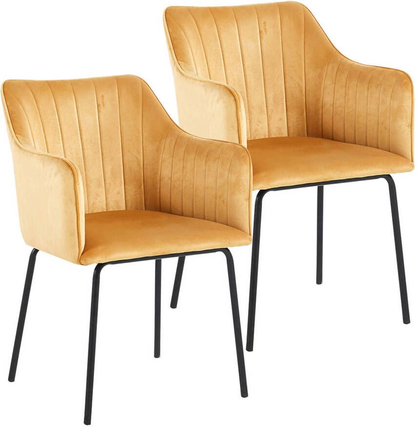 Hioshop Valia2 eetkamerstoel met armleuningen set van 2 stuks. bruin.