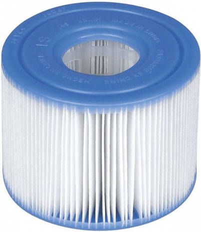 Intex Filter Cartridge S1