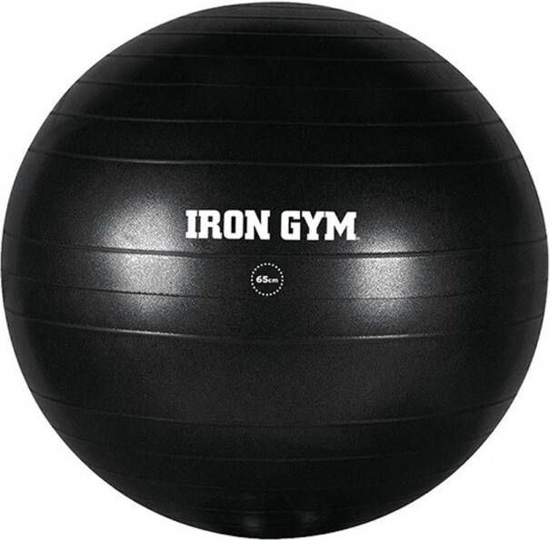 Iron Gym Exercise Ball 65 CM Met Pomp