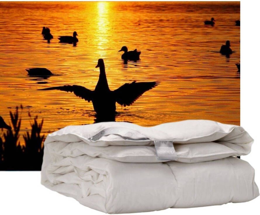 ISleep enkel dekbed 100% dons warmteklasse 1 2-Persoons 200x220 cm