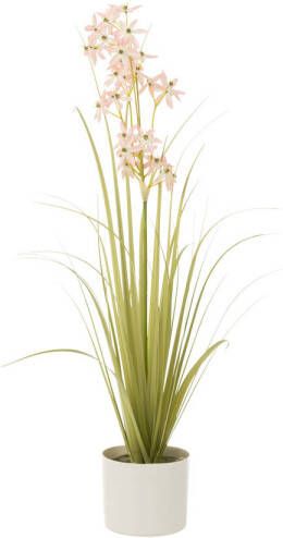 J-Line Allium In Pot Plastiek Groen licht Roze Small 20x20x89cm