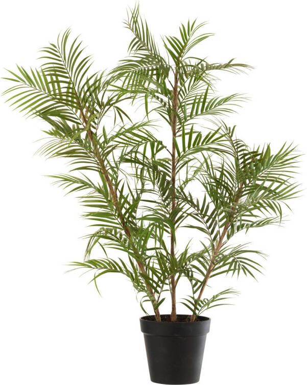 J-Line Bergpalm In Pot Plastiek Groen zwart Large 60x31x114cm