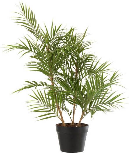 J-Line Bergpalm In Pot Plastiek Groen zwart Small 50x50x84cm