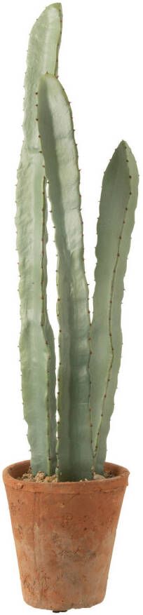 J-Line Cactus 3 Stuks In Pot Plastiek Groen Large 17x17x80cm