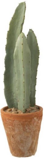 J-Line Cactus 3 Stuks In Pot Plastiek Groen Small 14x14x47cm