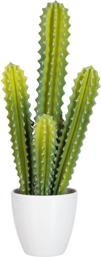 J-Line Cactus 5delig Groen 22x16x52.5cm