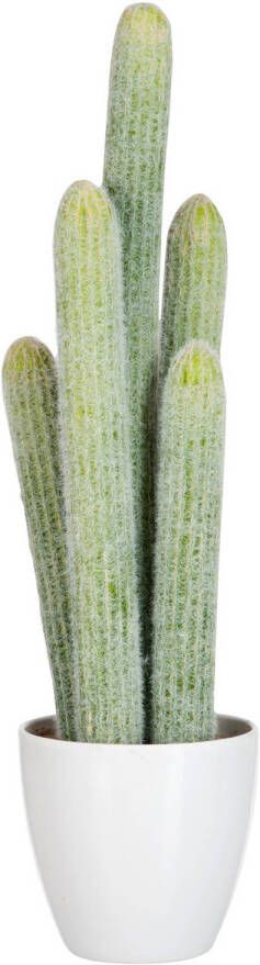 J-Line Cactus 5delig Licht Groen 23x16x52.5cm