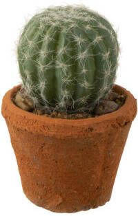 J-Line Cactus Rond In Pot Plastiek Groen 10.5x10.5x14.5cm