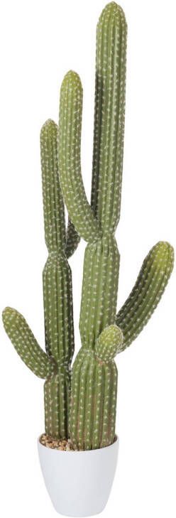 J-Line Cactus+pot Plastic Groen melamine Wit Large 36x20x115cm