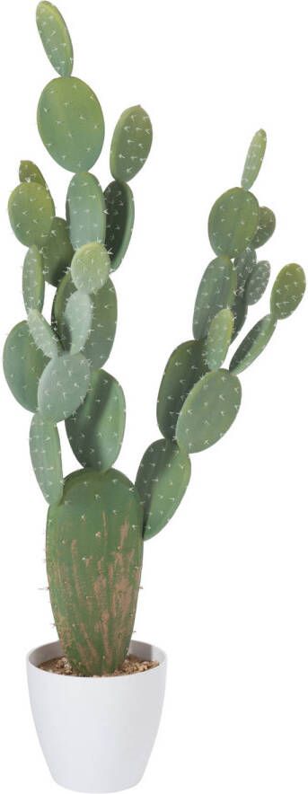 J-Line Cactus+pot Plastic Groen melamine Wit Xl 60x24.5x130cm