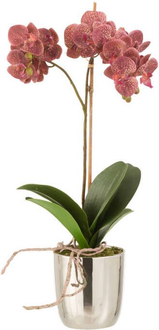 J-Line Orchidee In Pot Plastiek cement Donker Roze zilver 23x23x50cm