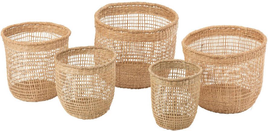 J-Line Set Van 5 Manden Oasis Zeegras Licht Naturel 40x40x32cm