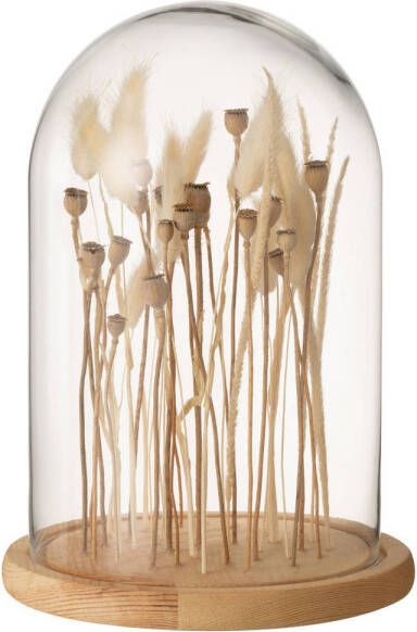 J-Line Stolp Droogbloemen Ecru bruin Glas Hout Small 16.5x16.5x25cm