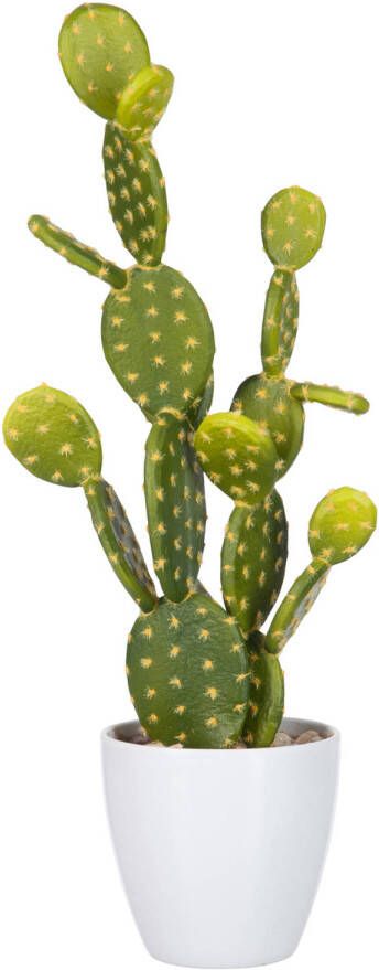 J-Line Vijgcactus Groen melamine Wit Large 16x16x57cm