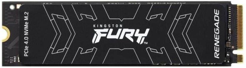 Kingston Interne SSD FURY Renegade 500GB M.2 NVMe (SFYRS 500G)