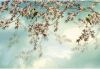 Komar Fotobehang Sakura Wandbekleding Bloemen Natuur Woonkamer Slaapkamer - 368x254cm online kopen