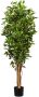 Kopu Kunstplant Ficus Smal 150 Cm In Pot Met Natuurstam - Thumbnail 2