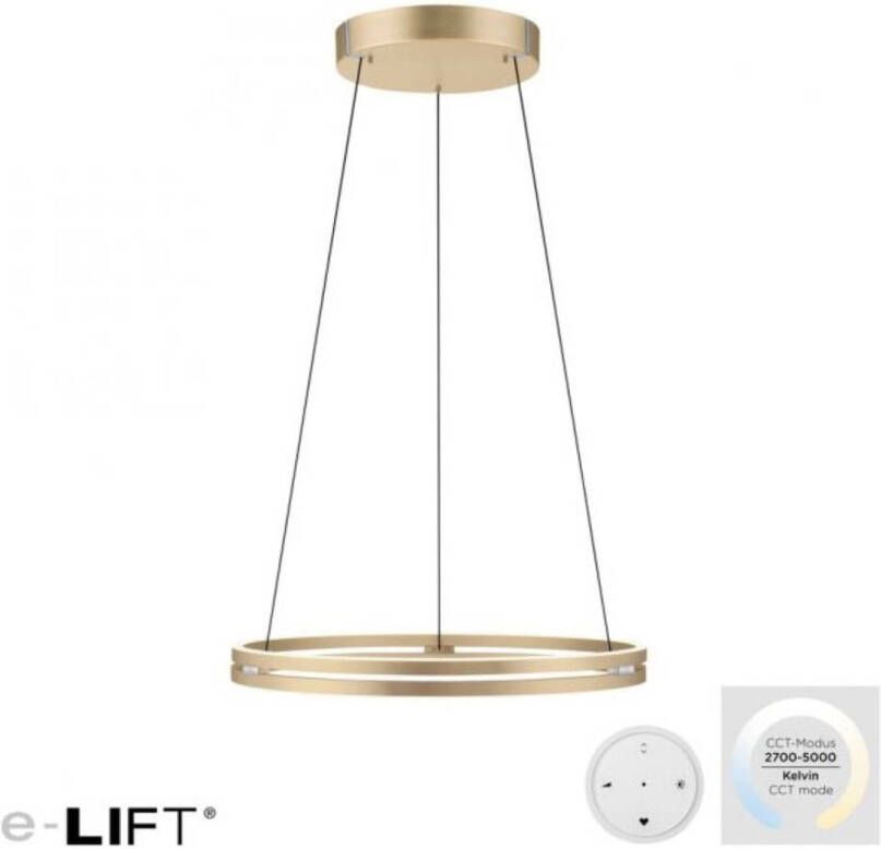 Lamponline Paul Neuhaus Hanglamp E-Loop e-Lift Ø 70 cm mat goud