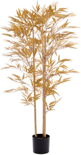 Light & Living Kunstplant Bamboo 152x90x152cm Goud