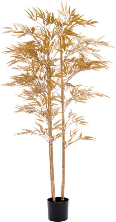 Light & Living Kunstplant Bamboo 180x100x180cm Goud