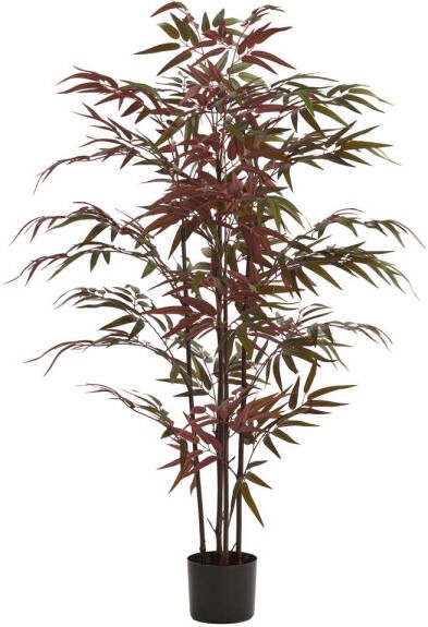 Light & Living Kunstplant Bamboo 70x60x120cm Groen