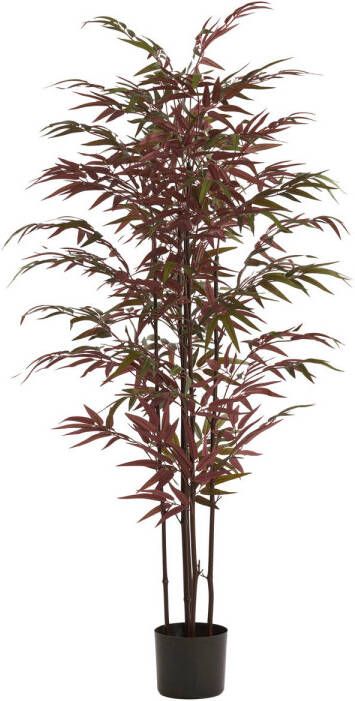 Light & Living Kunstplant Bamboo 70x60x150cm Groen