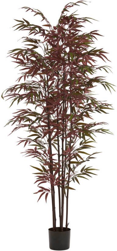 Light & Living Kunstplant Bamboo 70x60x180cm Groen