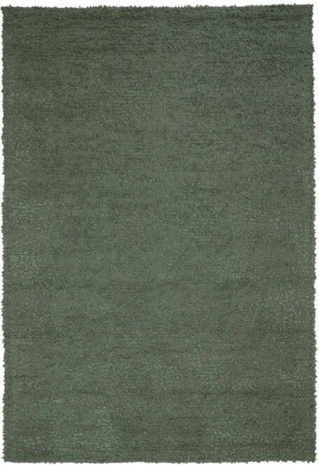 Light & Living Vloerkleed Humada 230x160x0.5cm Groen