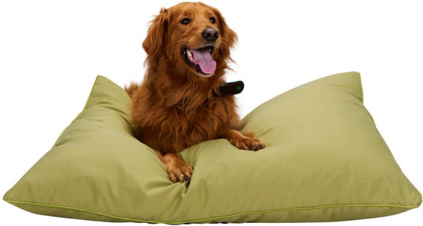 Maxxpro Hondenmand Hondenkussen 70 x 100 cm Hondenbed Kussen Hond met Rits Polyester en Microvezel Groen