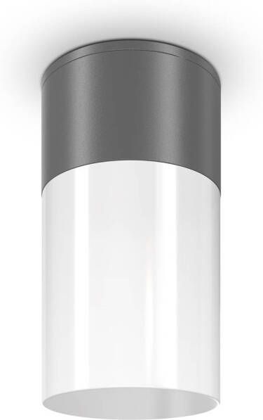 Maytoni Outdoor Plafondlamp Willis Grafiet Ø8