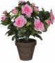 Mica Decorations Groene Azalea kunstplant met roze bloemen 27 cm in pot stan grey Kunstplanten nepplanten - Thumbnail 2