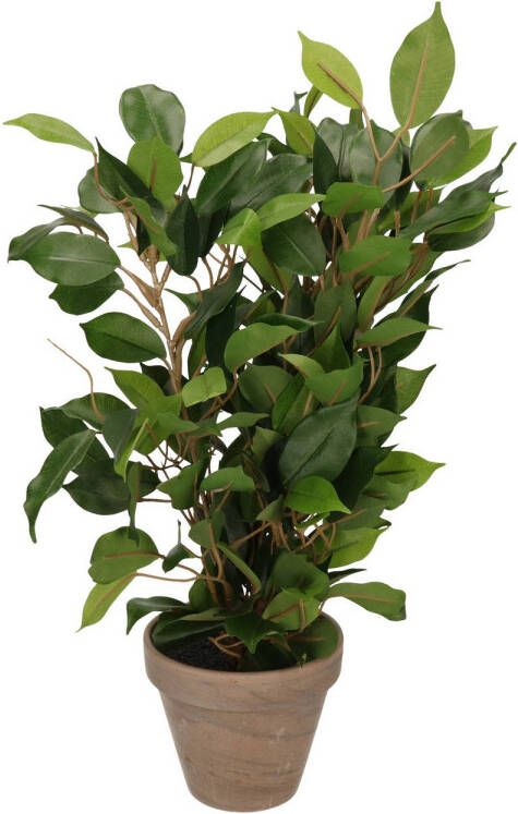 Mica Decorations Groene ficus kunstplant 40 cm Kunstplanten