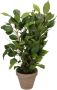 Mica Decorations Ficus Natasja Kunstplant in Bloempot Stan H40 x Ø30 cm Groen - Thumbnail 2