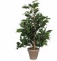 Mica Decorations Ficus Exotica Kunstplant in Bloempot Stan H60 x Ø35 cm Groen - Thumbnail 2