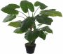 Mica Decorations Groene kunstplant Colocasia Taro succulent plant in pot Kunstplanten - Thumbnail 2