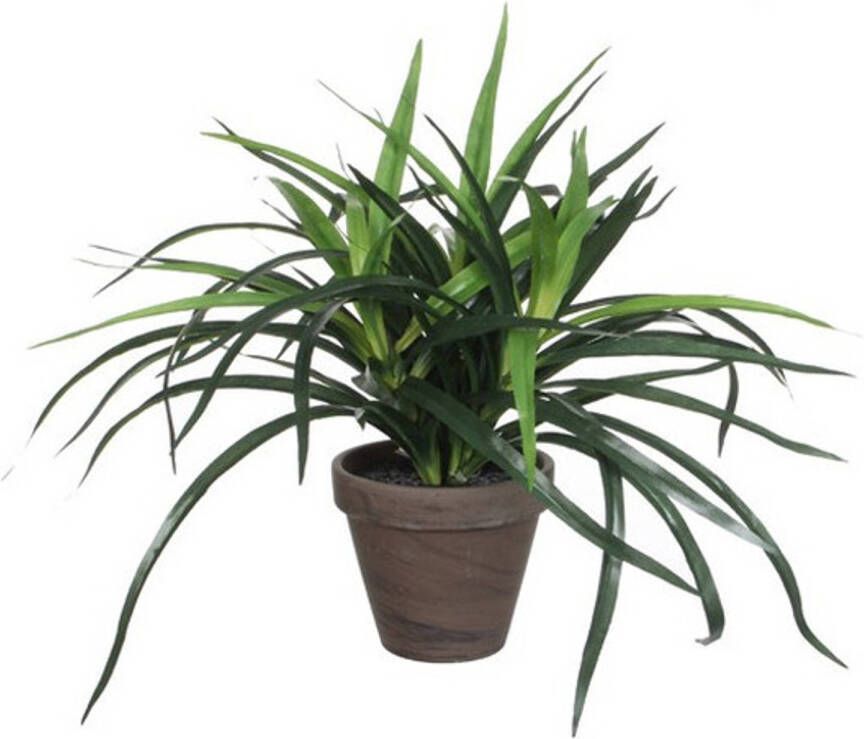 Mica Decorations Groene kunstplanten Dracaena plant in pot 34 cm Kunstplanten