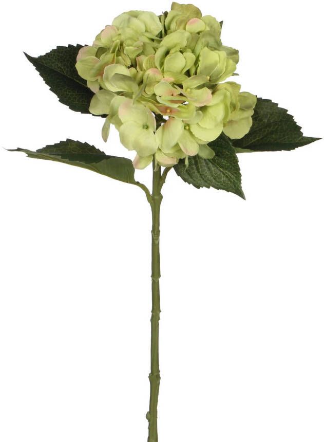 Mica Decorations Kunstbloem Hortensia tak groen 51 cm losse steel Kunst zijdebloemen Kunstbloemen