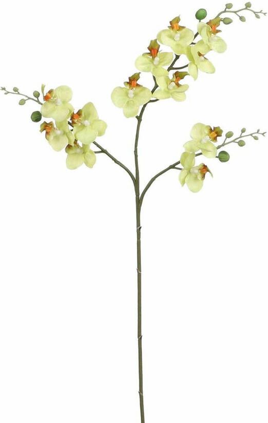 Mica Decorations Kunstbloem Orchidee tak lichtgeel 75 cm Kunst zijdebloemen Kunstbloemen