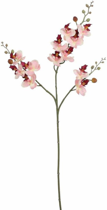 Mica Decorations Kunstbloem Orchidee tak lichtroze 75 cm Kunst zijdebloemen Kunstbloemen