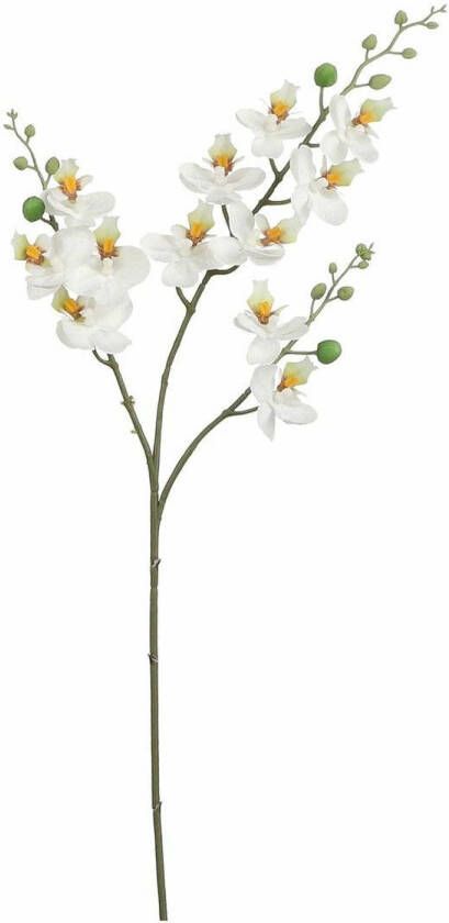 Mica Decorations Kunstbloem Orchidee tak wit 75 cm Kunst zijdebloemen Kunstbloemen