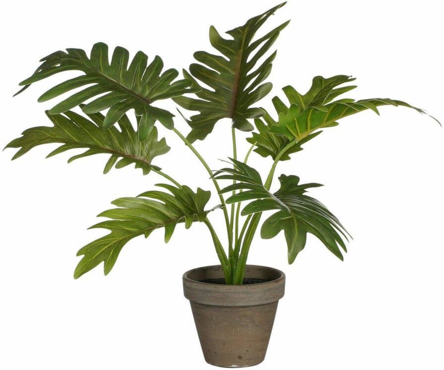 Mica Decorations Mica Decoration kunstplant Philodendron groen H30 en D27 cm Kamerplant Kunstplanten