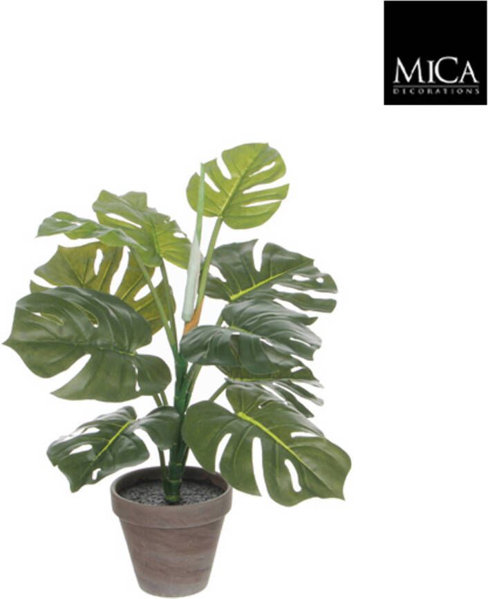 Mica Decorations Monstera groen in pot Stan grijs d13 5cm h48xd39cm